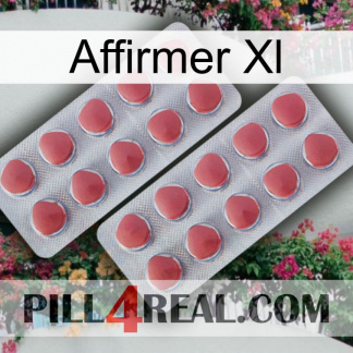 Affirm Xl 19